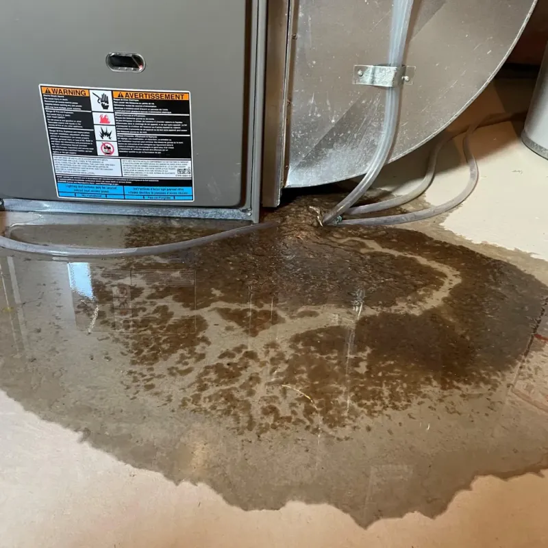 Appliance Leak Cleanup in Carter County, TN